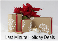 Last Minute Holiday Deals Photo